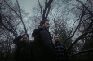 Orange Spotlight: Sleeping Mountain