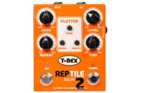 Zdjęcie T-Rex REPTILE 2