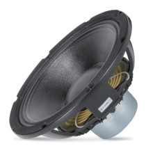 Miniatura zdjęcia 1 z 2, produktu RCF MB10N251